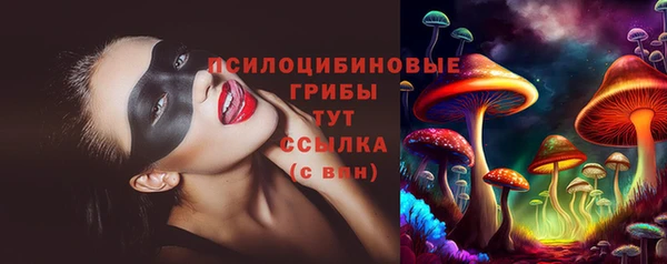 мяу мяу мука Балабаново
