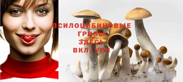 дурь Балахна