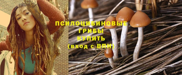 дурь Балахна