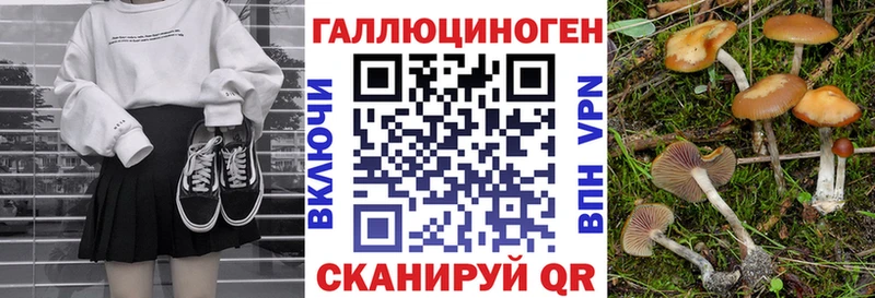 это наркотические препараты  Белебей  Галлюциногенные грибы Psilocybe 